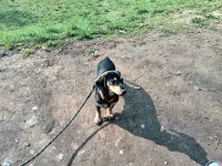 20140329 142706 Android  Hisilicon K3