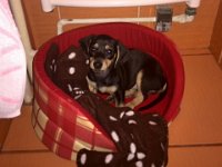 IMG 20140216 092953  Hisilicon K3