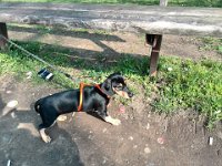 IMG 20140329 142342  Hisilicon K3