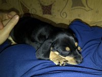 Praha-20140123-00799